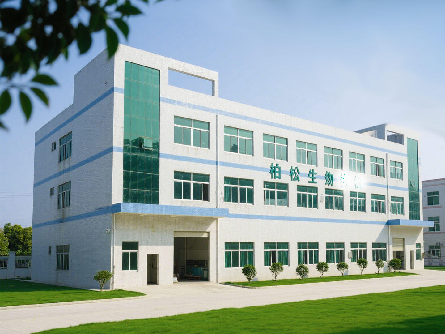 橋頭柏松無(wú)塵車間裝修工程